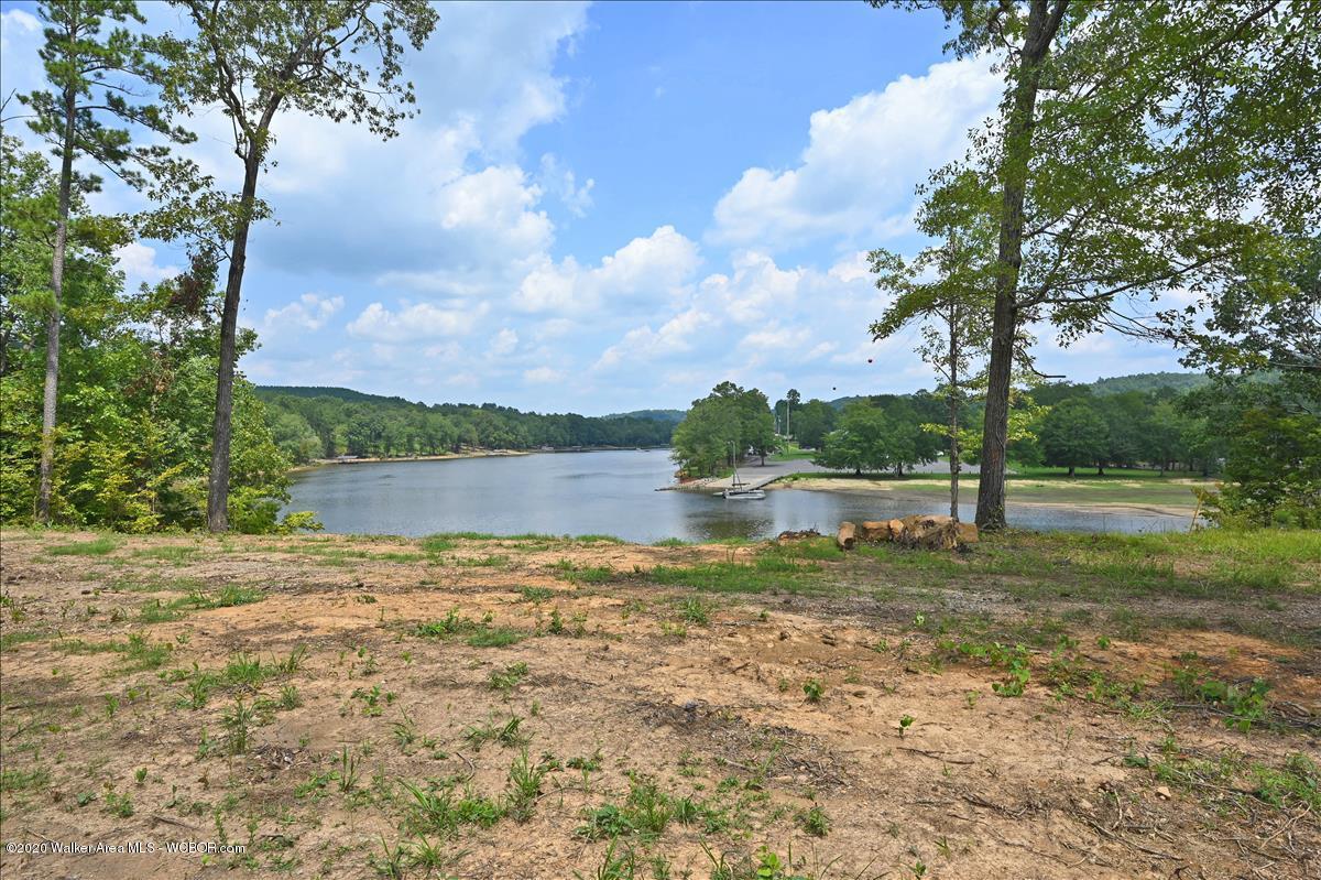 954 Co Road Crane Hill, AL 35053 - Photo 10 of 12 Gallery Image 10