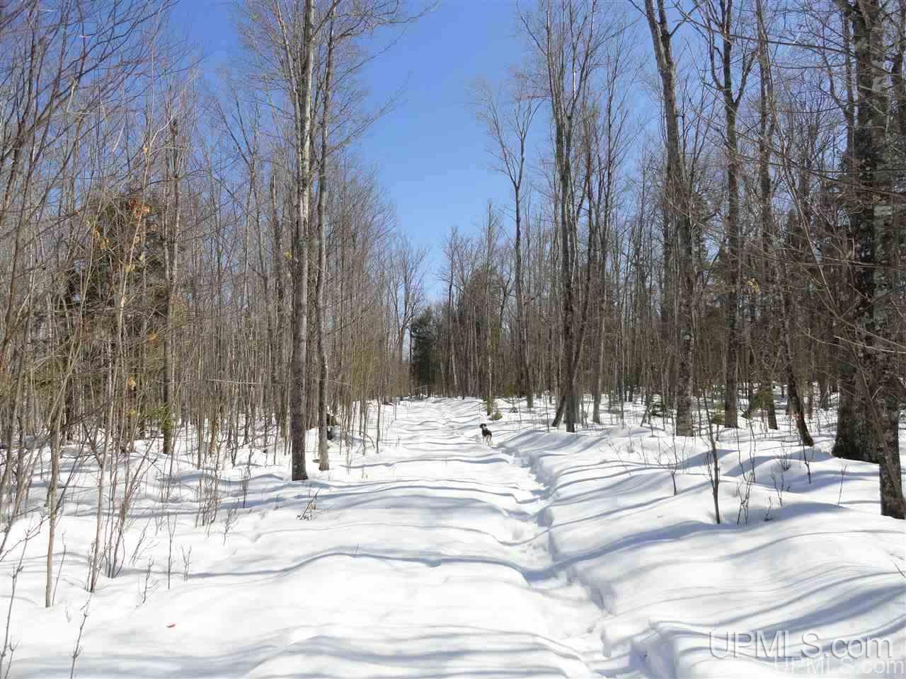 240-acres Leek Road Covington, MI 49919 - Photo 25 of 50