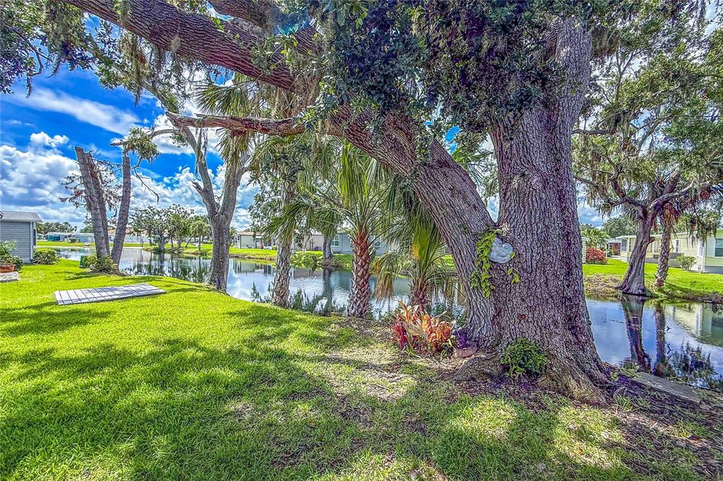 83 Eagle Circle Ellenton, FL 34222 - Photo 43 of 60 a view of a park with large tree