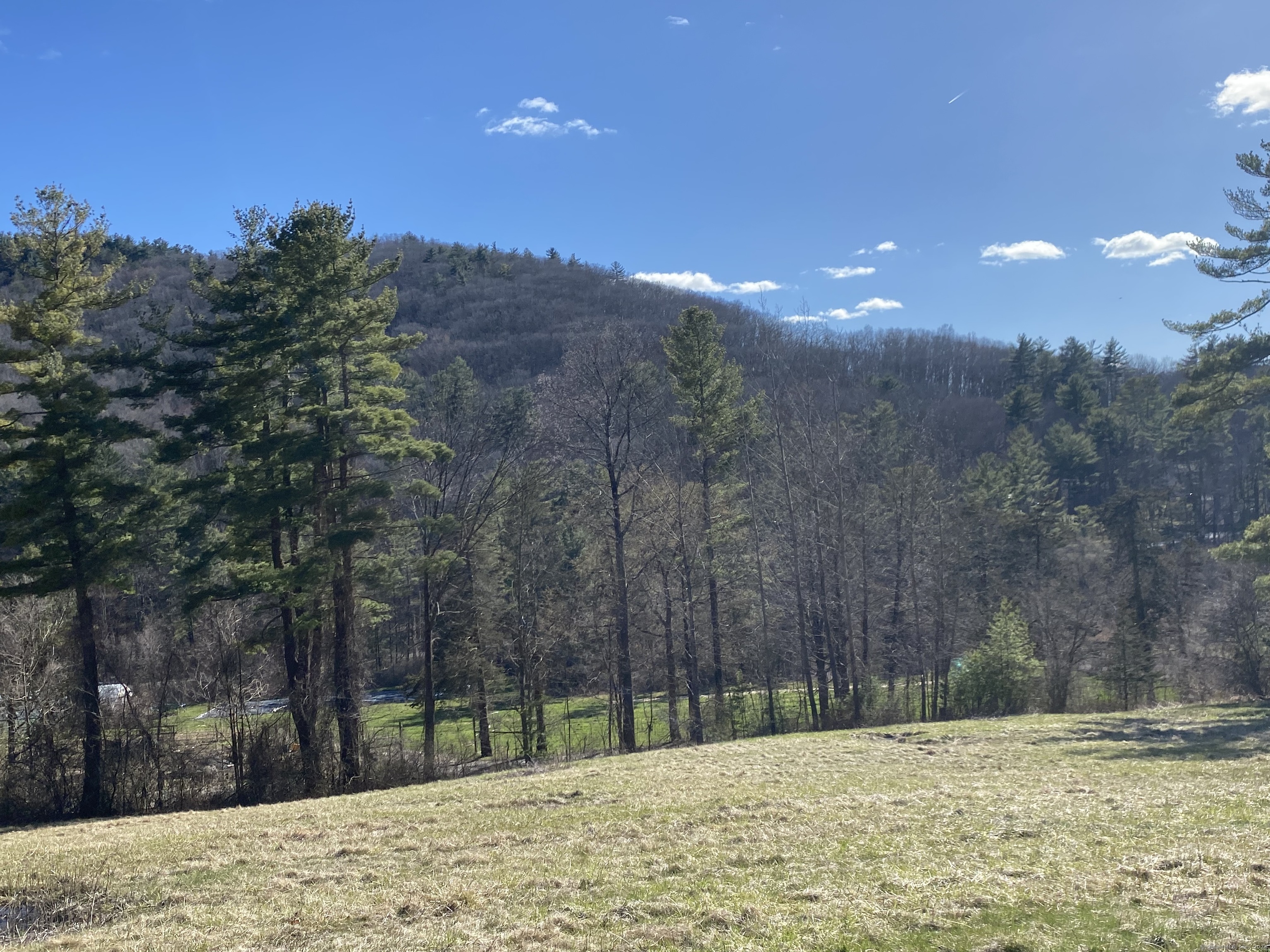 a view of a yard with a tree