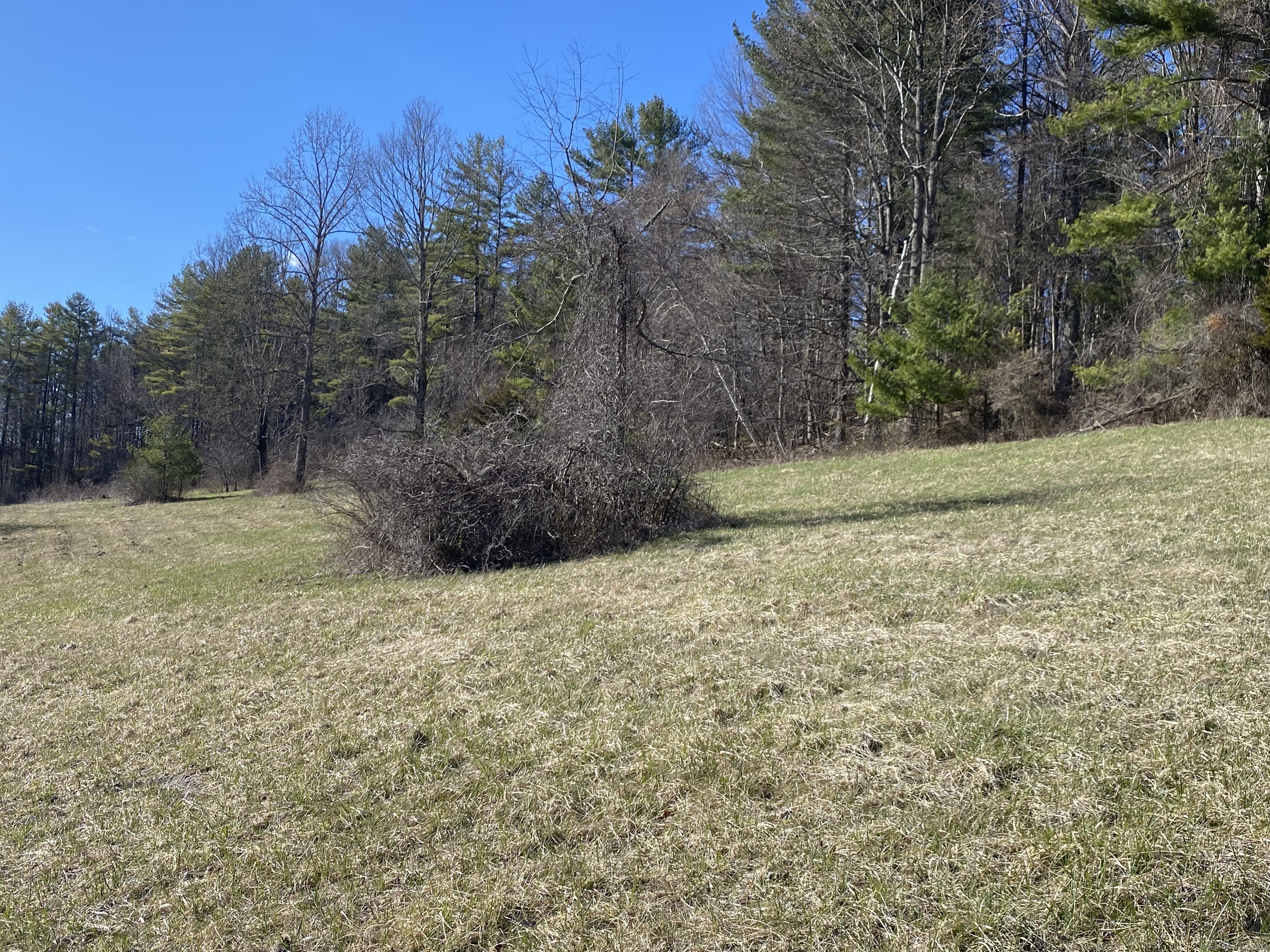 198-3 Beebe Hill Road Falls Village, CT 06031 - Photo 4 of 7 a view of a field with trees