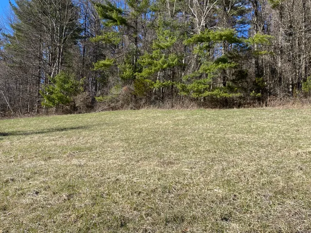 a view of a yard with a tree