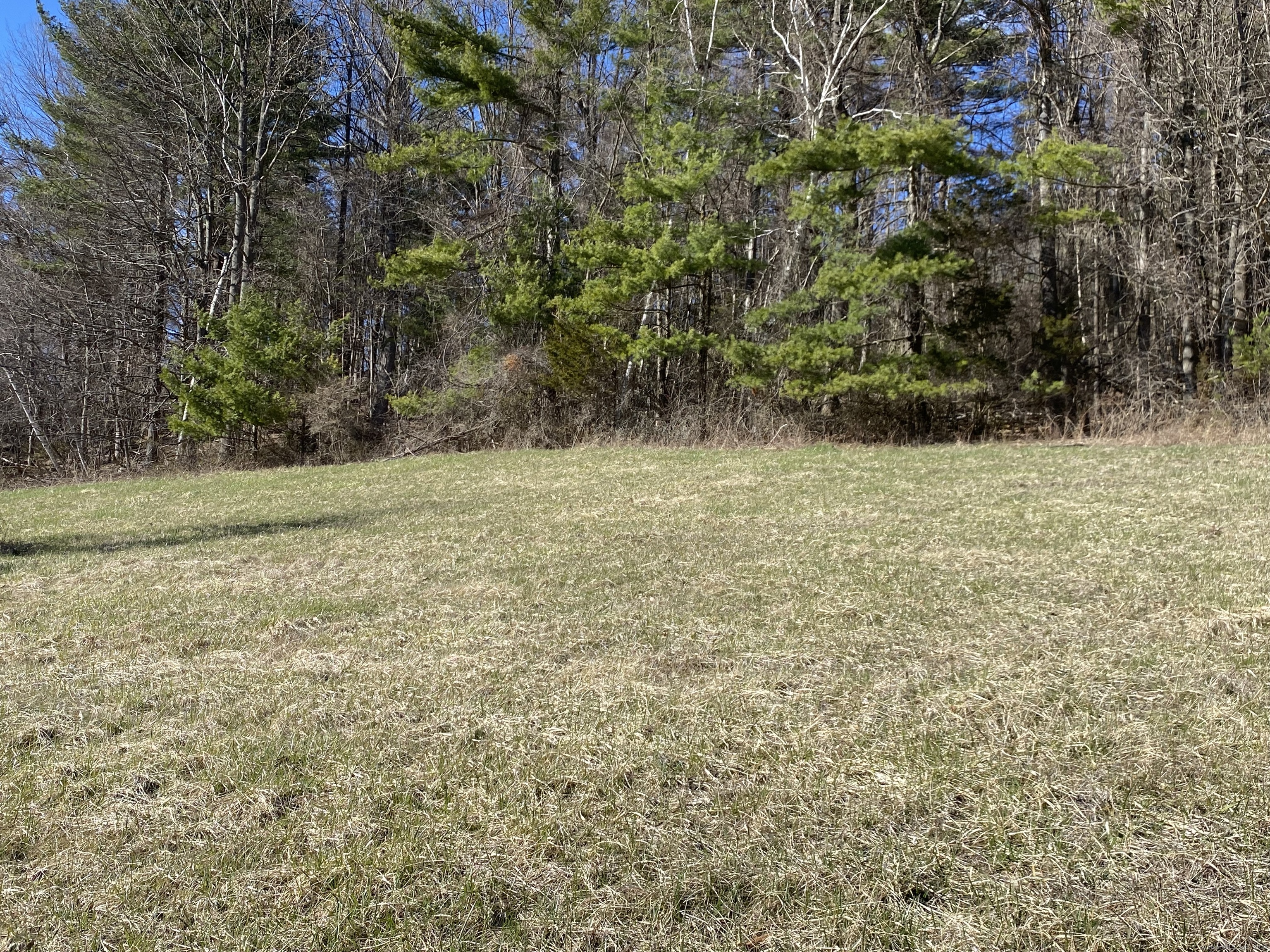 198-3 Beebe Hill Road Falls Village, CT 06031 - Photo 5 of 7 a view of a yard with a tree