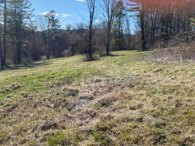 a fire hydrant in the middle of a field