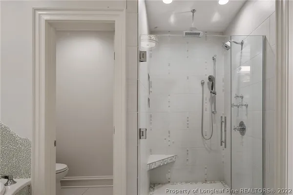 a bathroom with a shower and toilet
