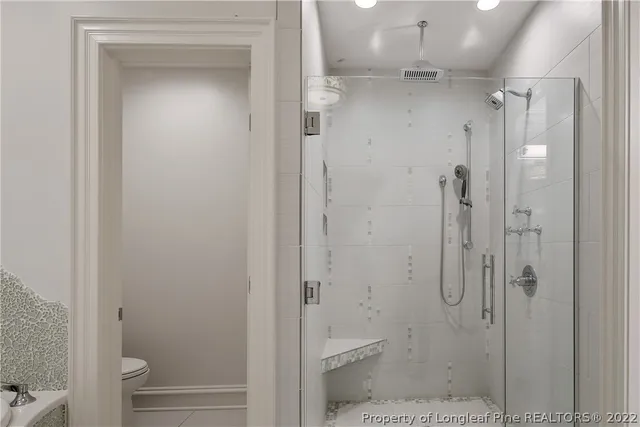 a bathroom with a shower and toilet