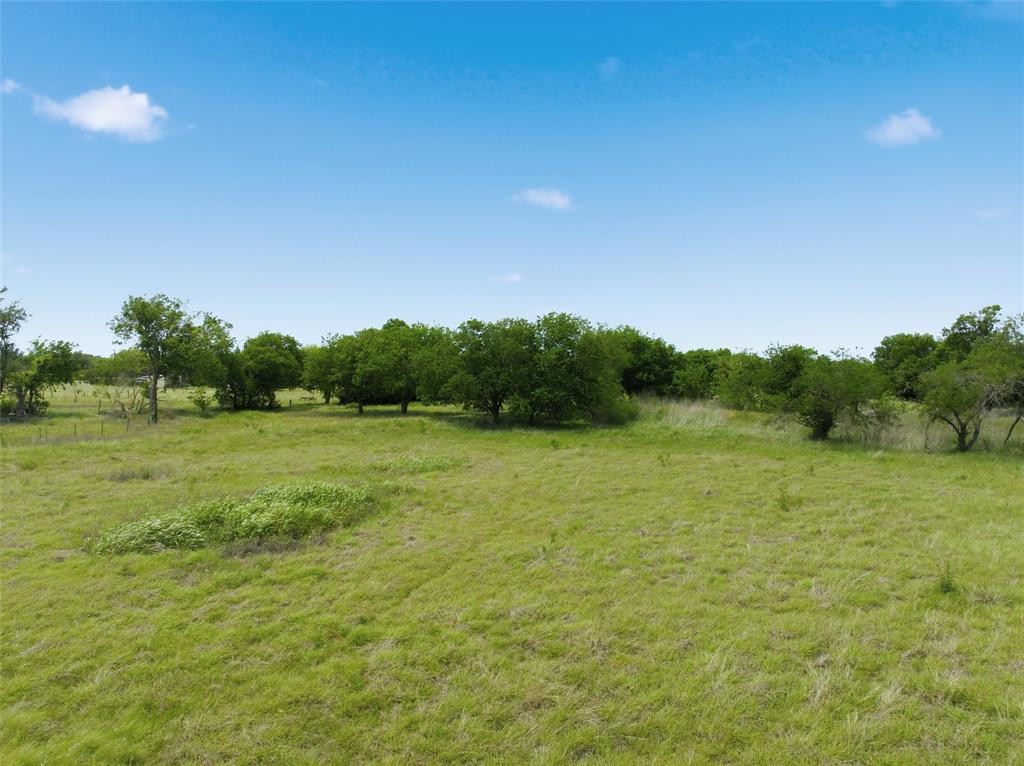 1600 Culpepper Lane China Spring, TX 76633 - Photo 4 of 24 a view of field with trees in background