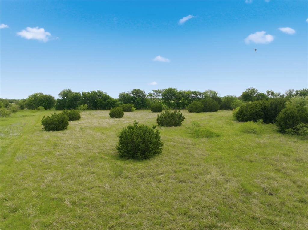 1600 Culpepper Lane China Spring, TX 76633 - Photo 7 of 24 a view of a garden with a lake