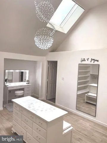 a view of a forest with trees in the background