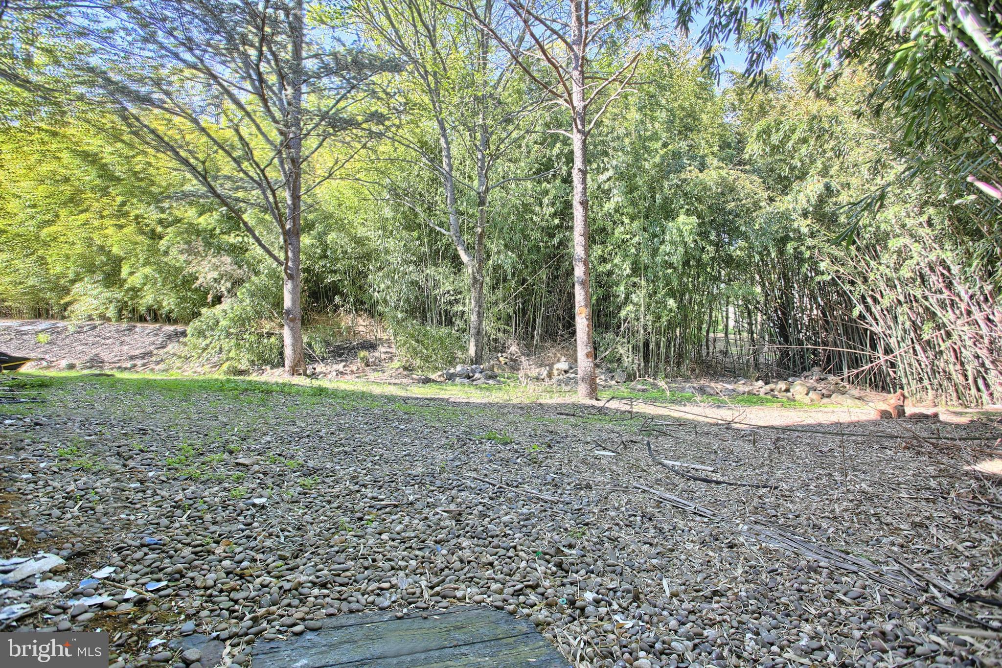 1813 Holly Drive Harrisburg, PA 17110 - Photo 60 of 61 a view of a yard with plants and trees