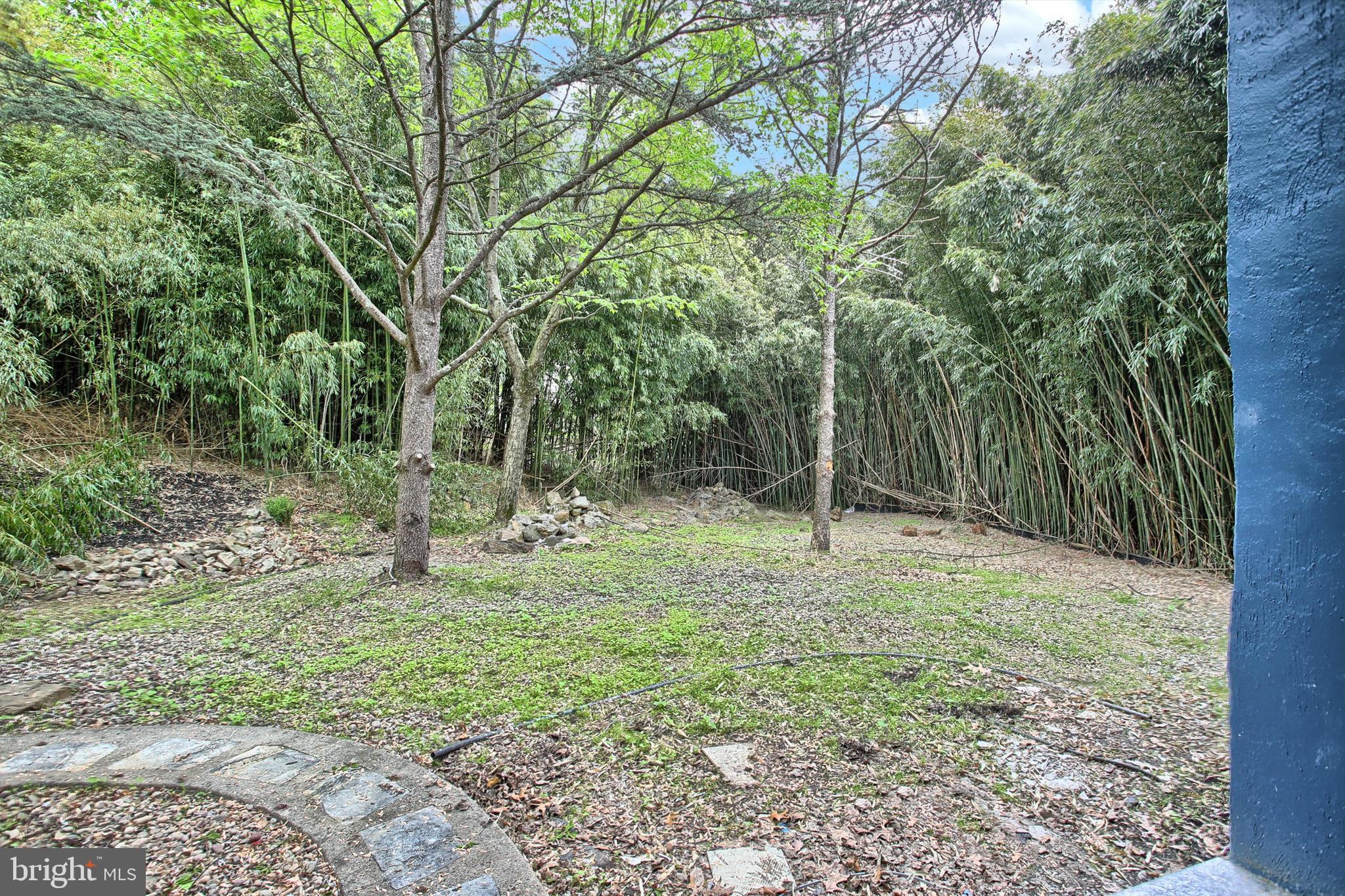 1813 Holly Drive Harrisburg, PA 17110 - Photo 61 of 61 a view of a forest with trees in the background