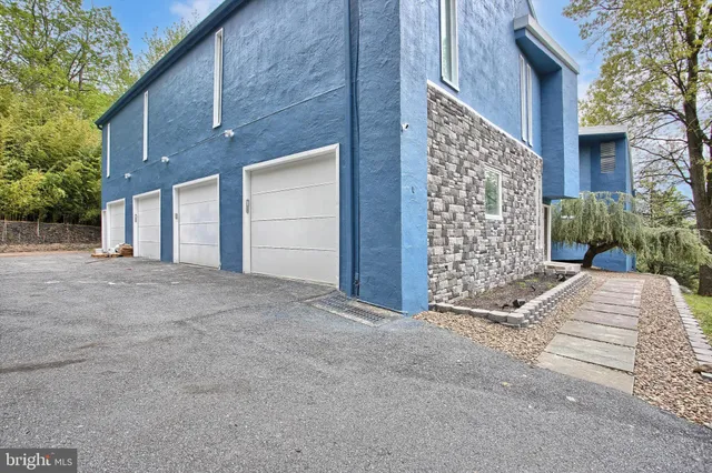 a potted plant in front of a door