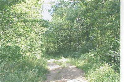 Trent Road, Unit PAR I Ravenna, MI 49451 - Photo 1 of 1 Primary Photo
