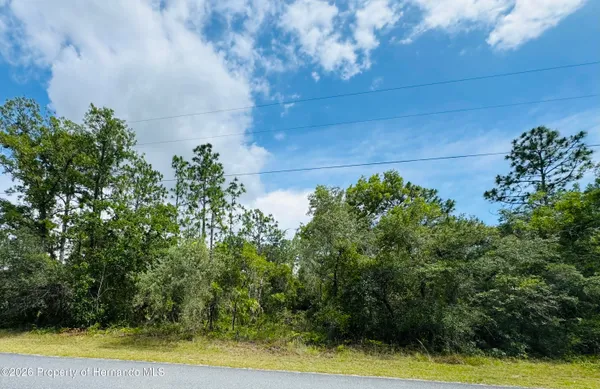 $55,000 | Lot 4 Wood Owl Avenue, Weeki Wachee, FL 34614
