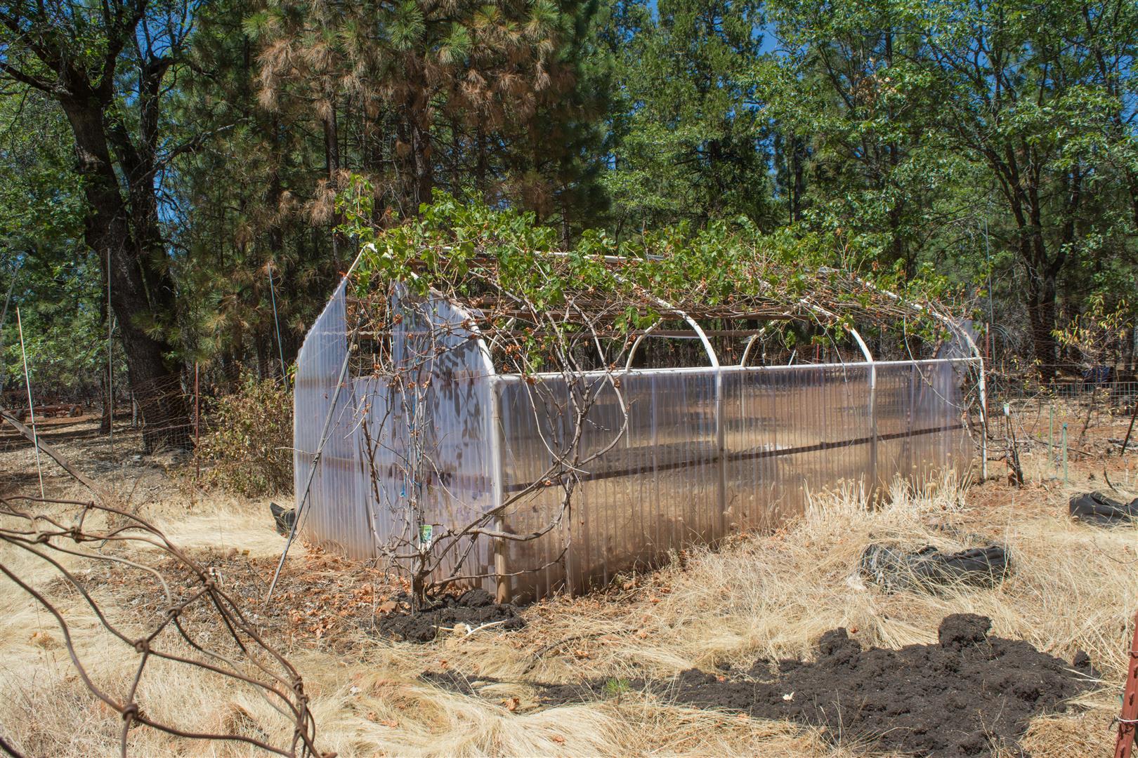 30432 Whitmore Road Whitmore, CA 96096 - Photo 23 of 26 Old Greenhouse