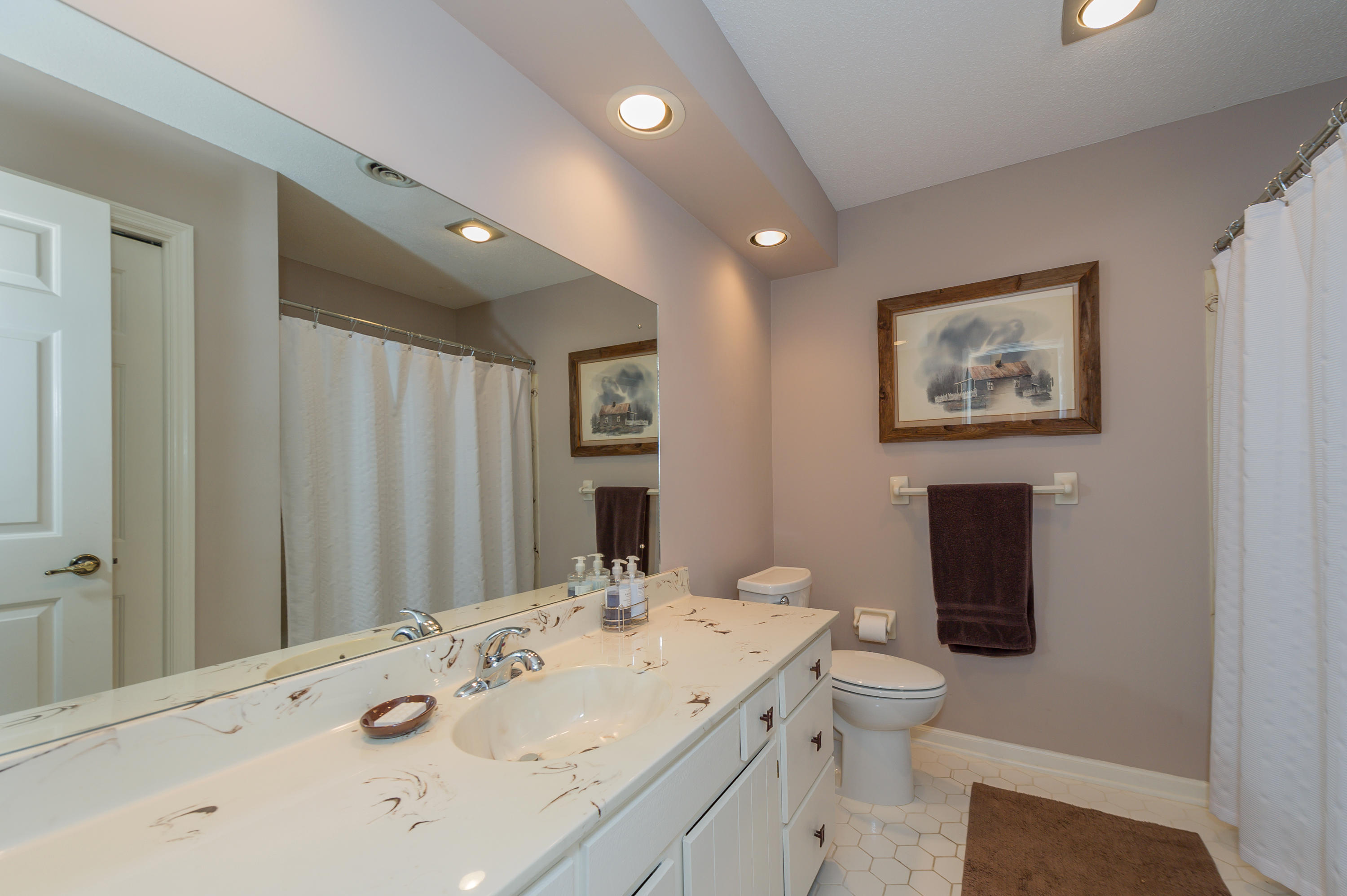 5513 River Point Cove Road Knoxville, TN 37919 - Photo 21 of 29 Basement Bathroom