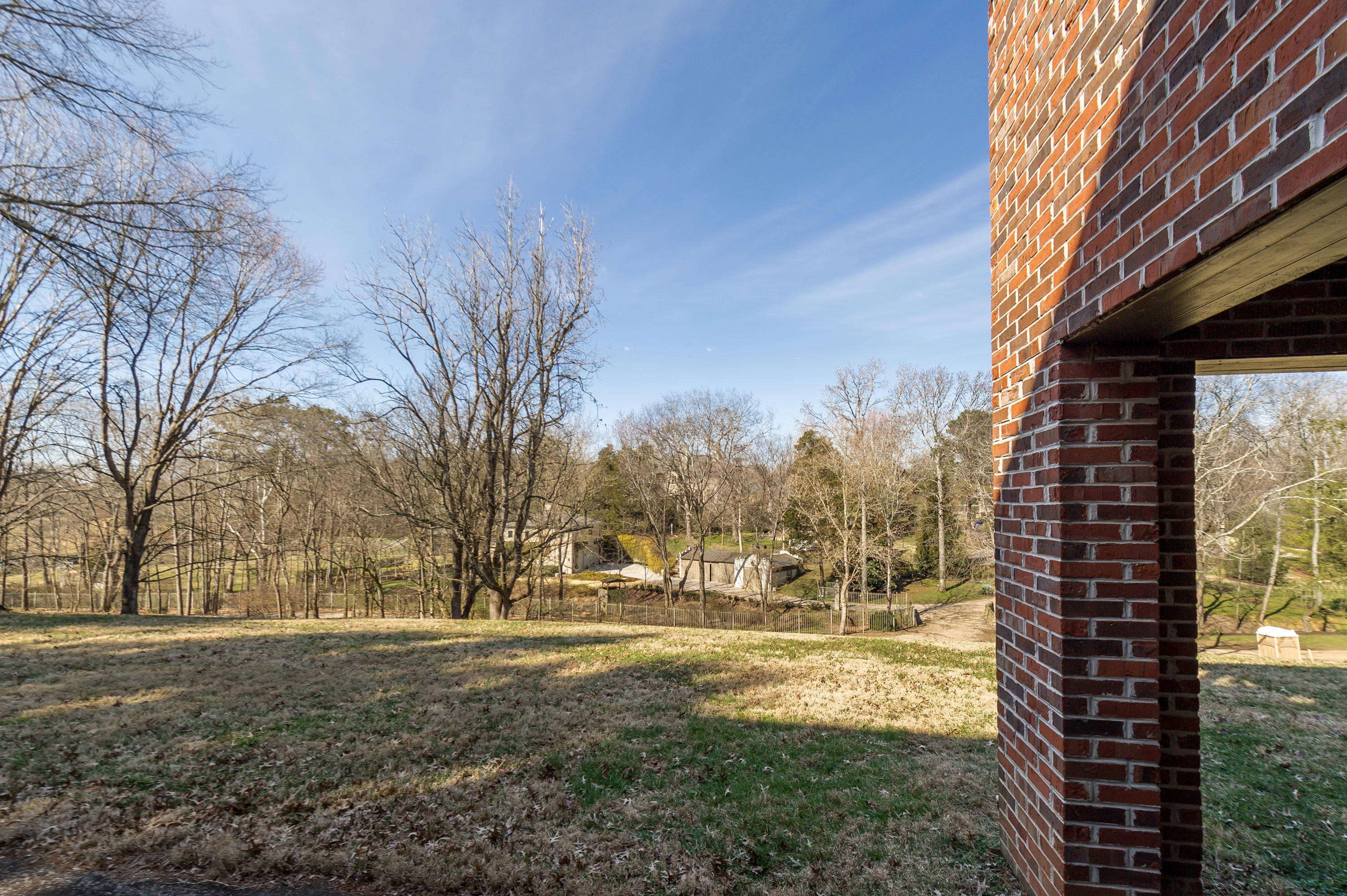 5513 River Point Cove Road Knoxville, TN 37919 - Photo 29 of 29 Back Yard