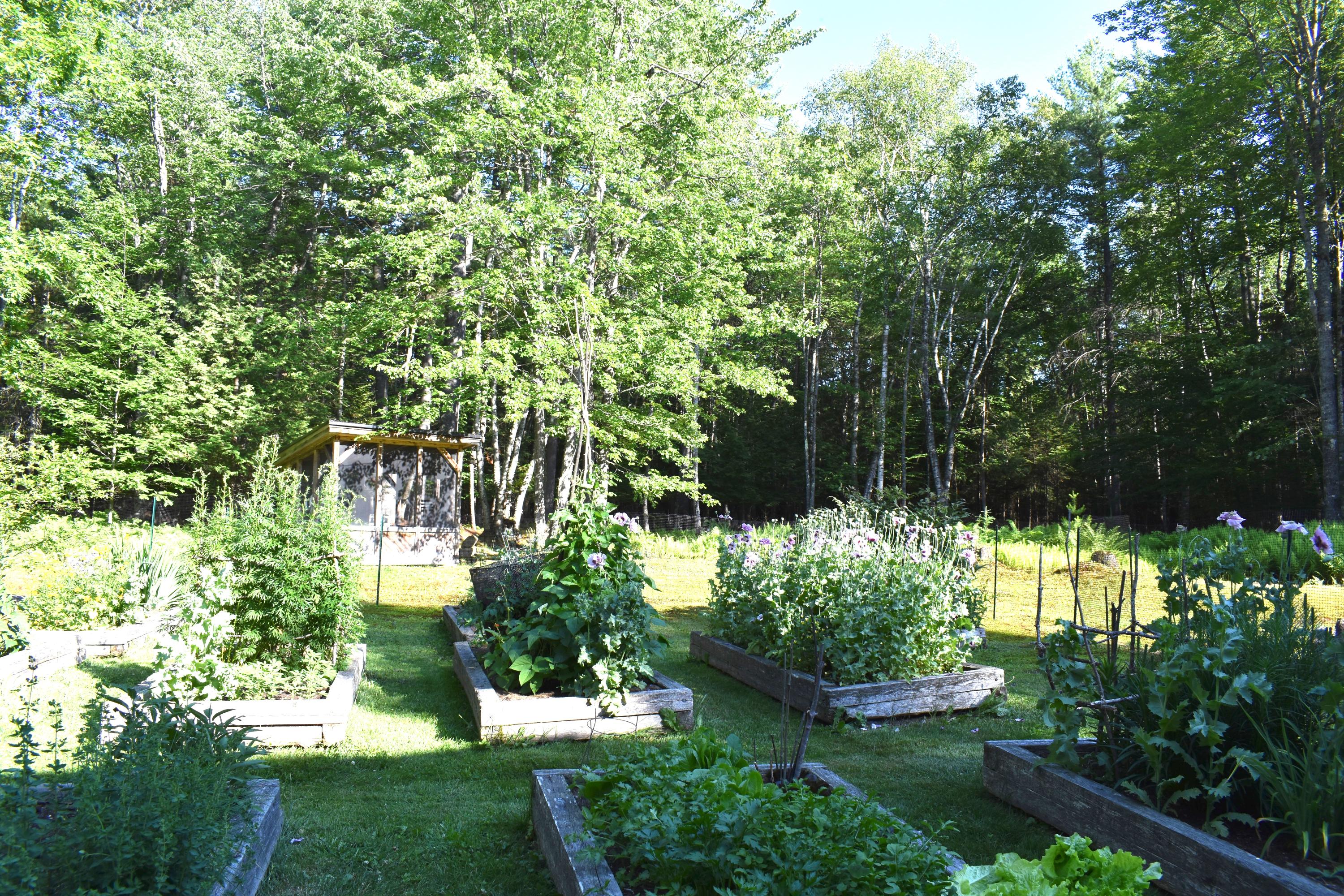 173 Denbow Road St. Albans, ME 04971 - Photo 54 of 83 garden 4