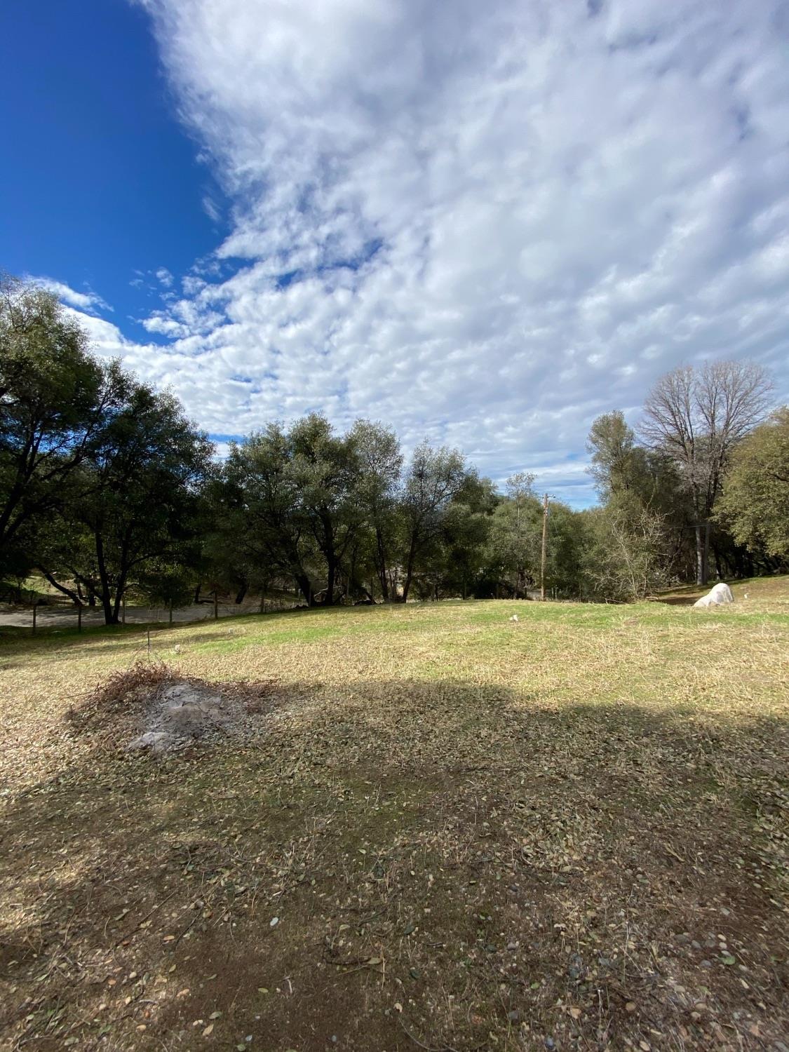 51651 Coyote Ridge Road Oakhurst, CA 93644 - Photo 35 of 47 Gallery Image 35