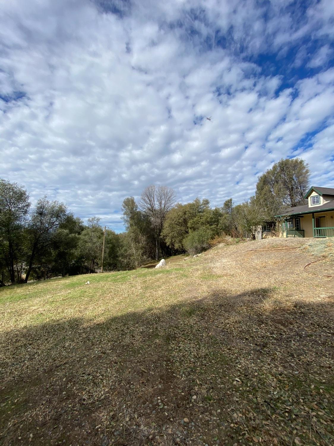 51651 Coyote Ridge Road Oakhurst, CA 93644 - Photo 36 of 47 Gallery Image 36
