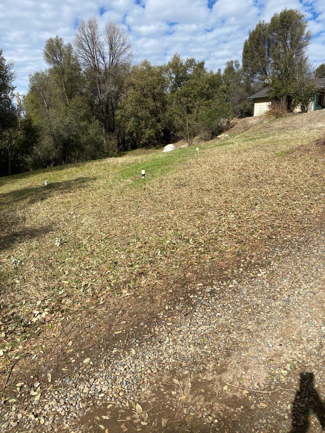 51651 Coyote Ridge Road Oakhurst, CA 93644 - Photo 39 of 47 Gallery Image 39