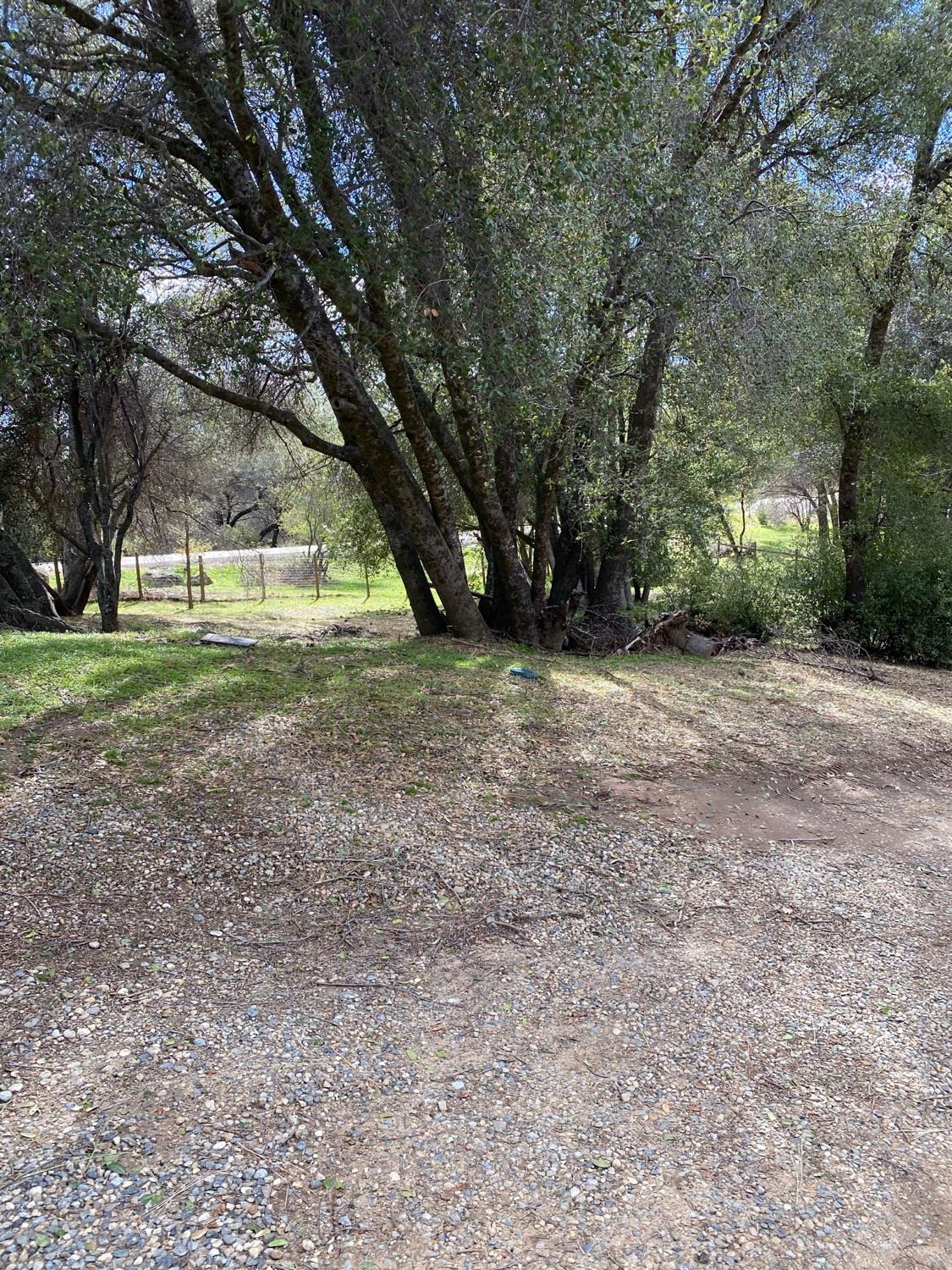 51651 Coyote Ridge Road Oakhurst, CA 93644 - Photo 40 of 47 Gallery Image 40