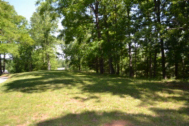 318 Rock Springs Road Celina, TN 38551 - Photo 78 of 87 a view of a yard with a trees