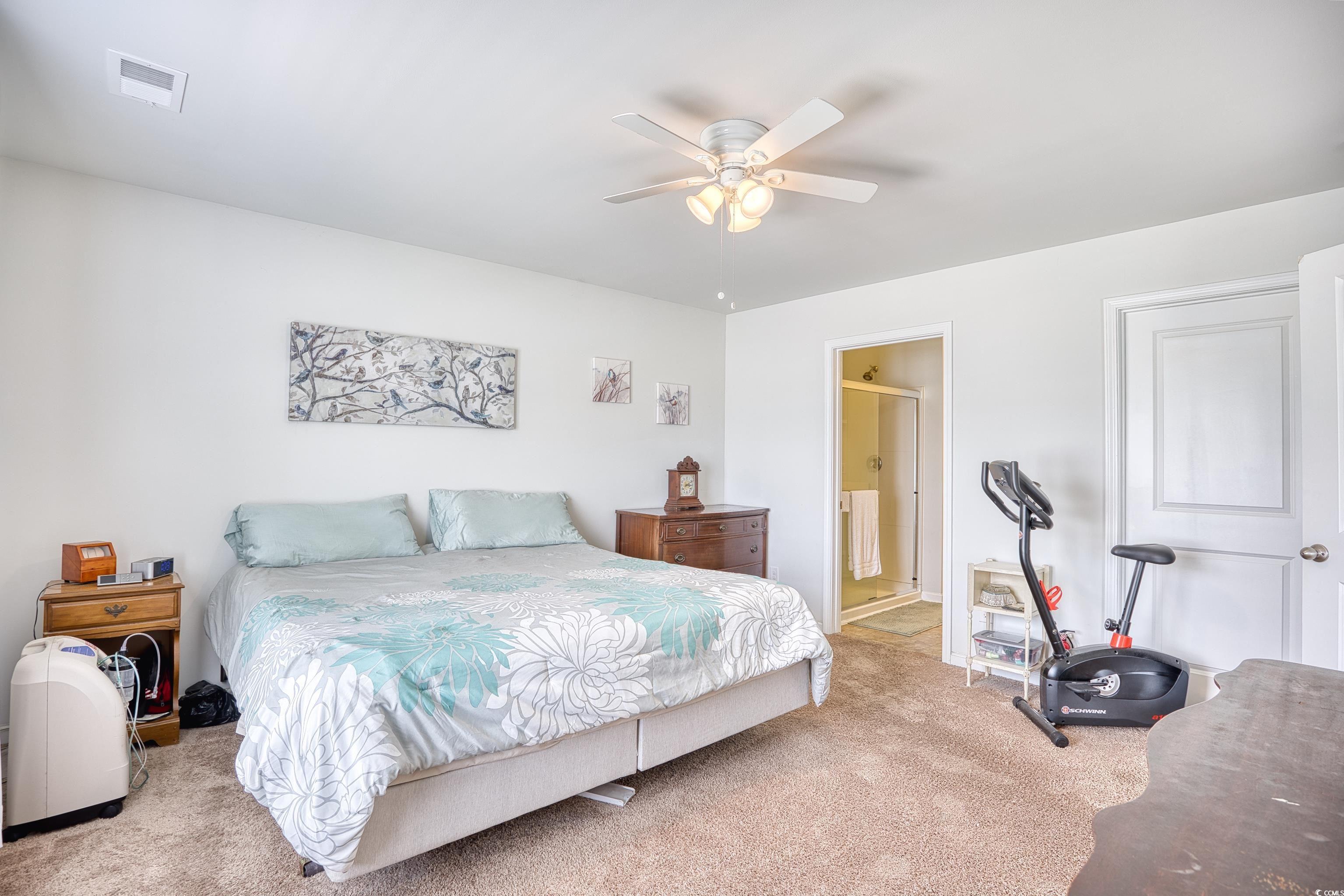 445 Quinta Street Longs, SC 29568 - Photo 14 of 34