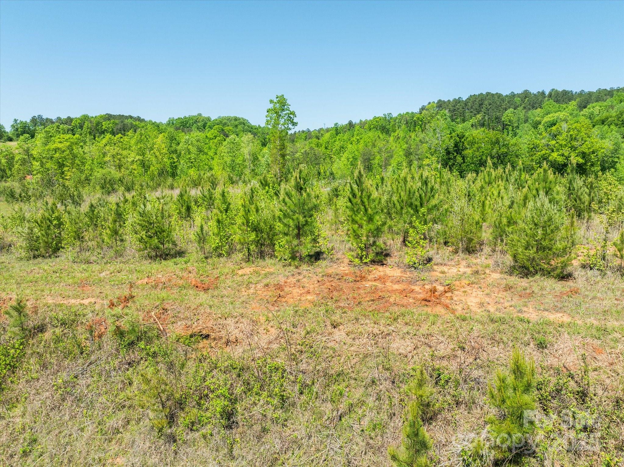 99999 Pea Ridge Road Mill Spring, NC 28756 - Photo 12 of 21 a view of a yard with an outdoor space