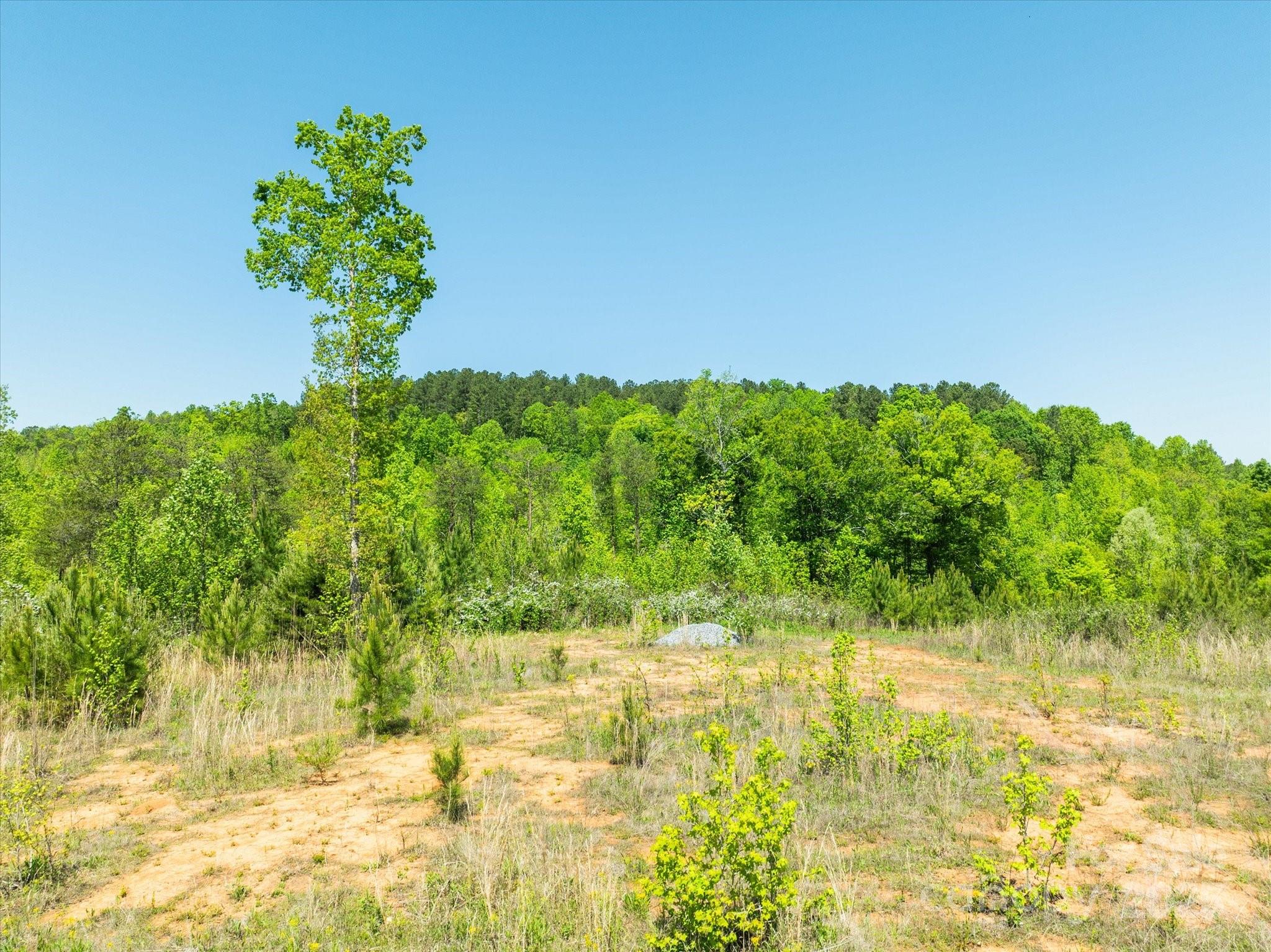 99999 Pea Ridge Road Mill Spring, NC 28756 - Photo 13 of 21 a view of yard with green space