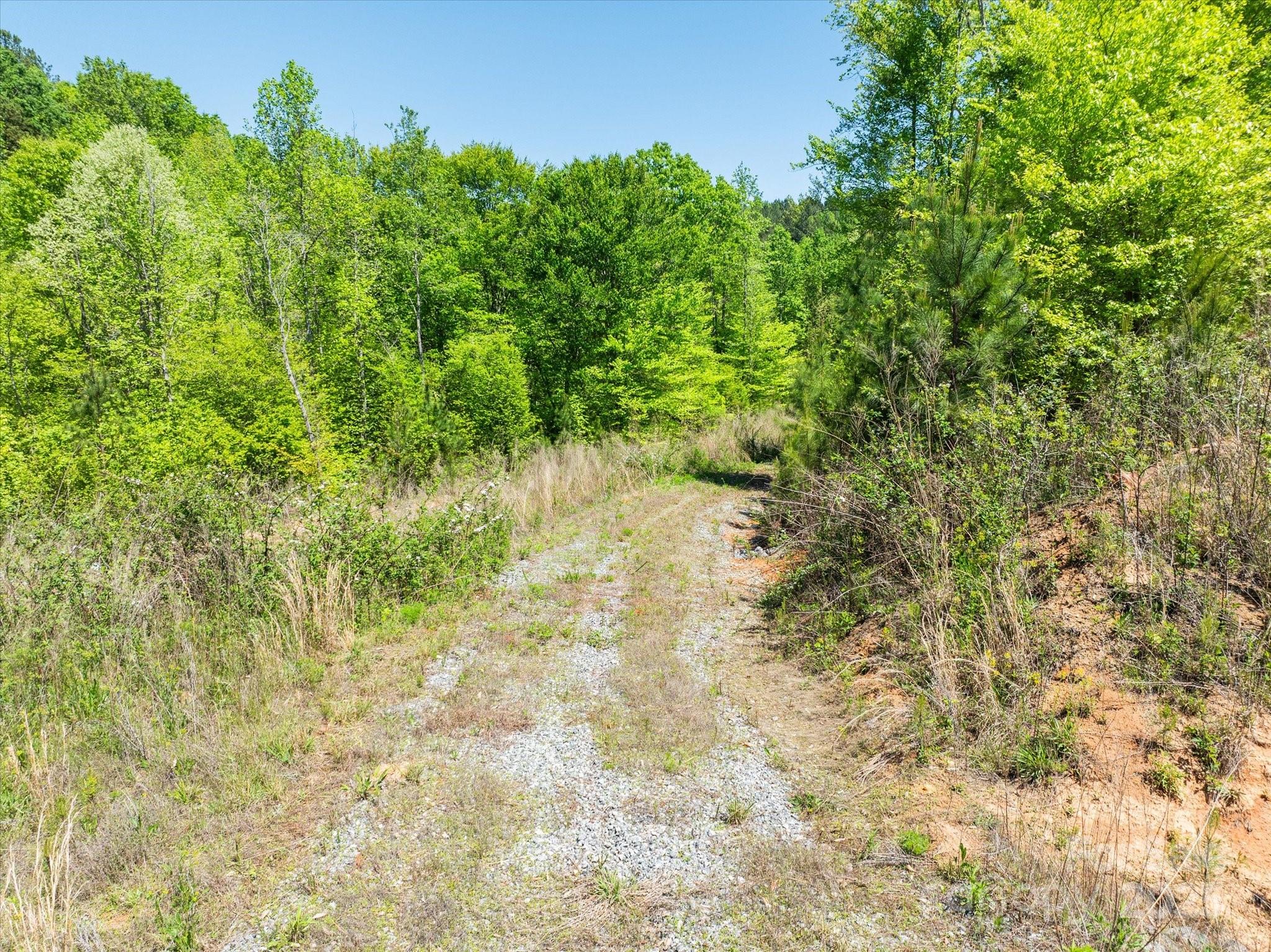 99999 Pea Ridge Road Mill Spring, NC 28756 - Photo 14 of 21 a view of a yard with a tree
