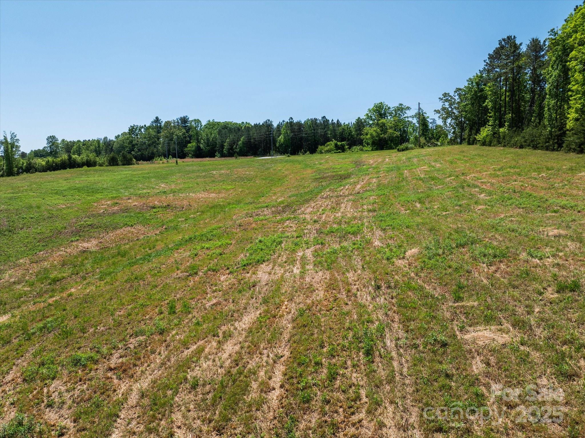 99999 Pea Ridge Road Mill Spring, NC 28756 - Photo 15 of 21 a view of a field with an trees in the background