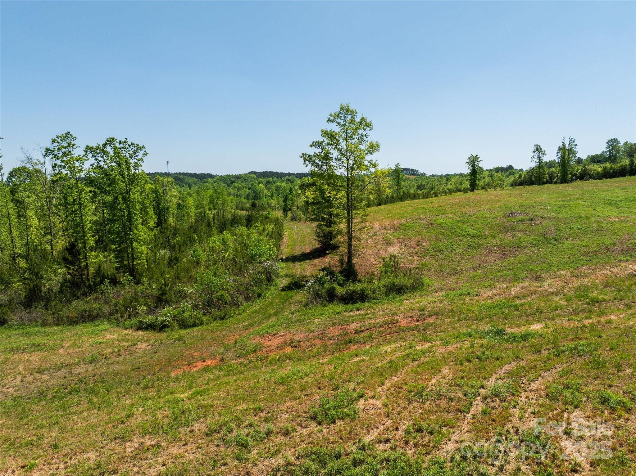 99999 Pea Ridge Road Mill Spring, NC 28756 - Photo 16 of 21 a view of a field with an trees and grass