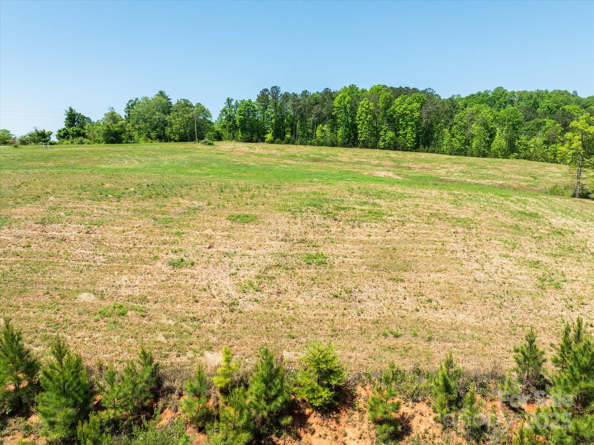 99999 Pea Ridge Road Mill Spring, NC 28756 - Photo 17 of 21 a view of a field with an ocean