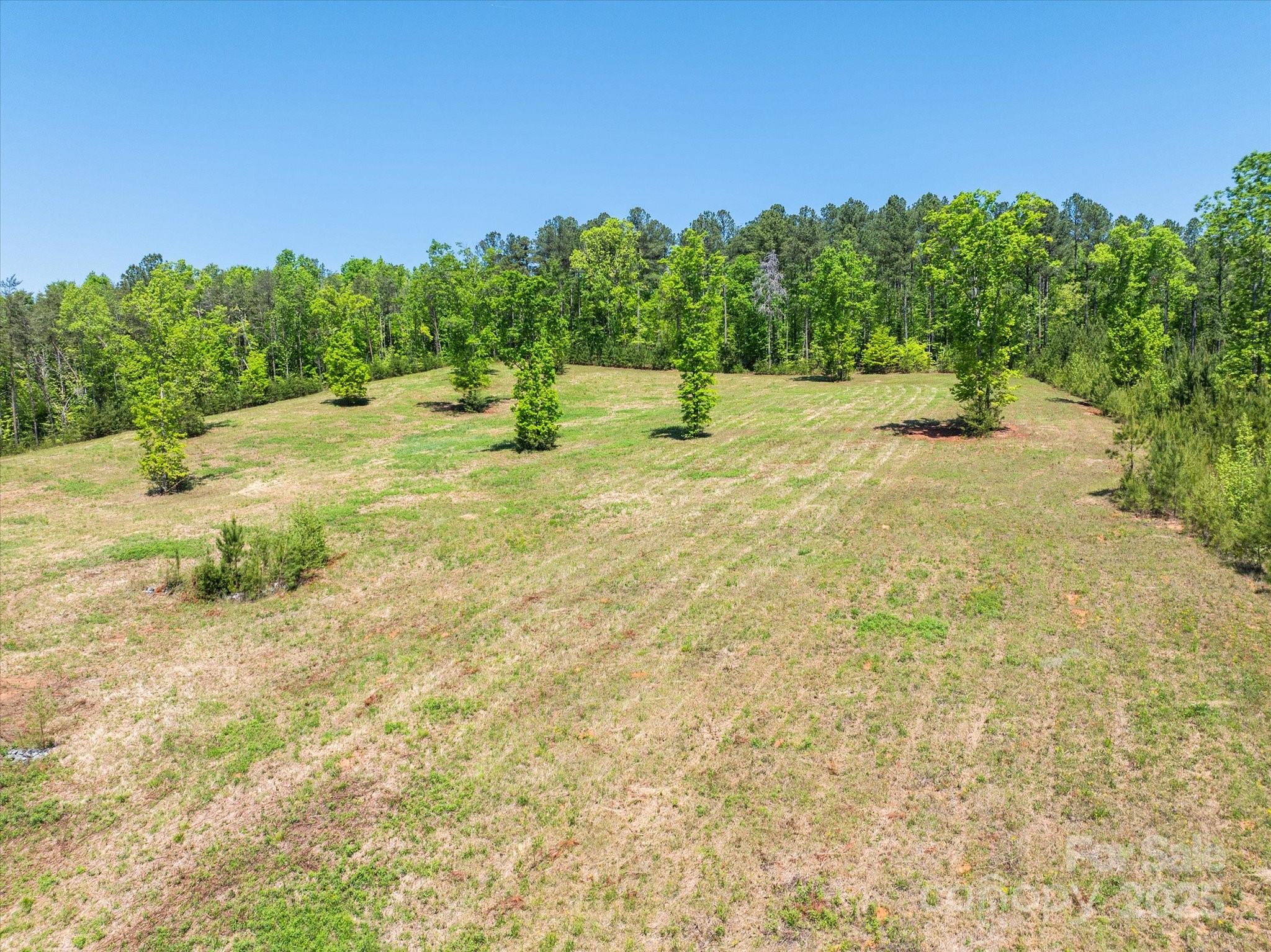 99999 Pea Ridge Road Mill Spring, NC 28756 - Photo 18 of 21 a backyard of a house with lots of green space