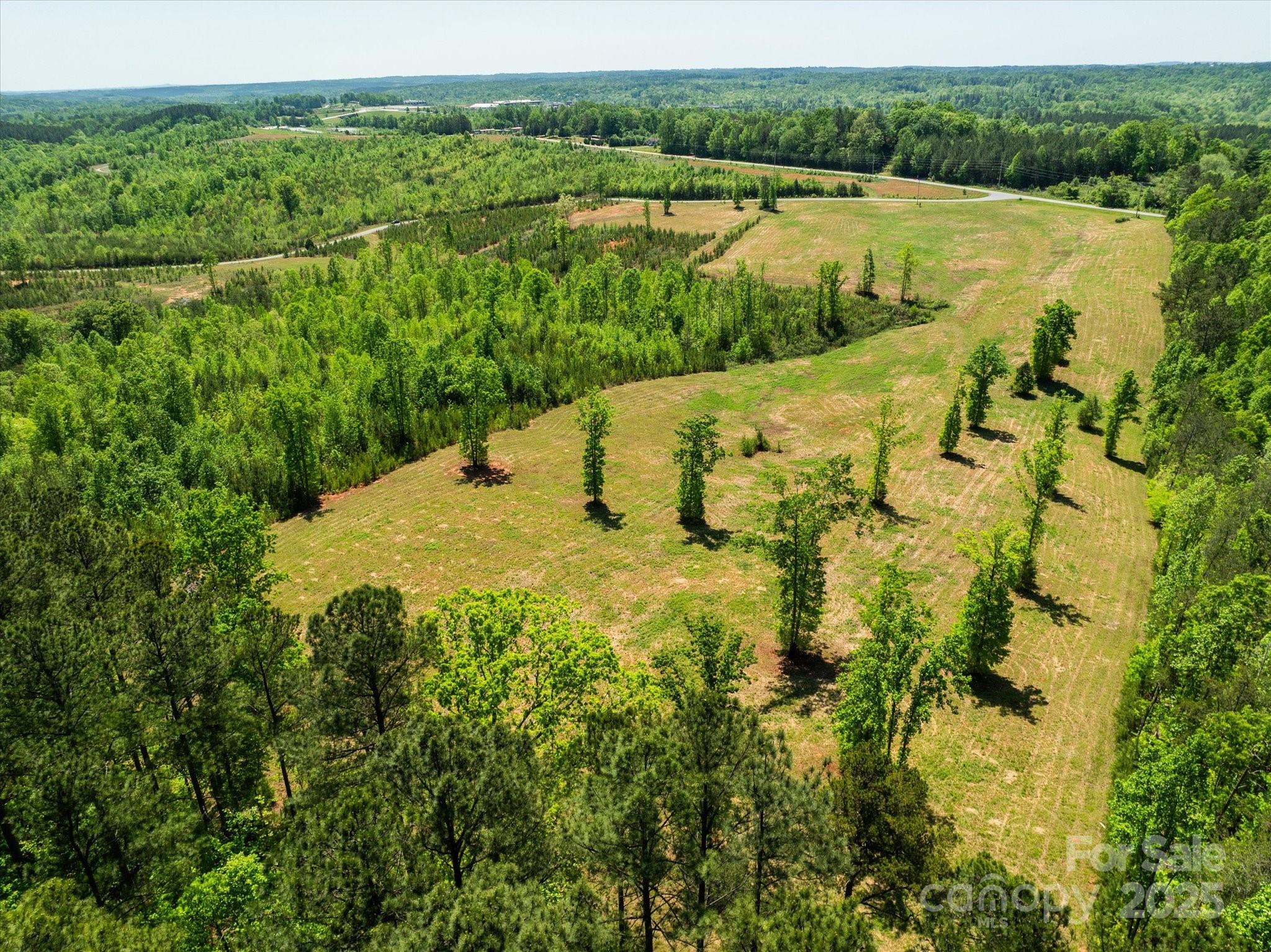 99999 Pea Ridge Road Mill Spring, NC 28756 - Photo 19 of 21 a view of a lake with a yard