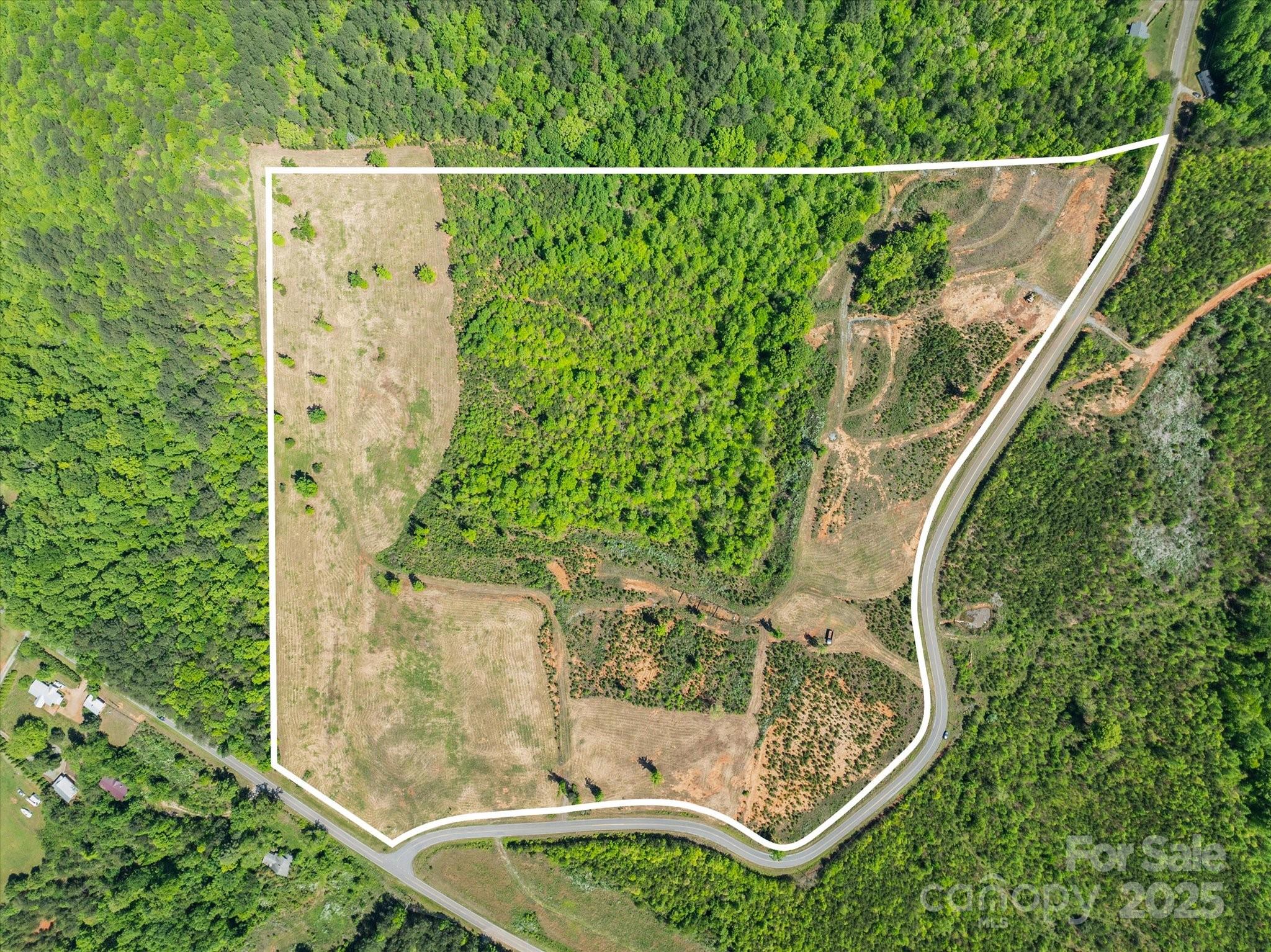 99999 Pea Ridge Road Mill Spring, NC 28756 - Photo 20 of 21 a view of a bird bath