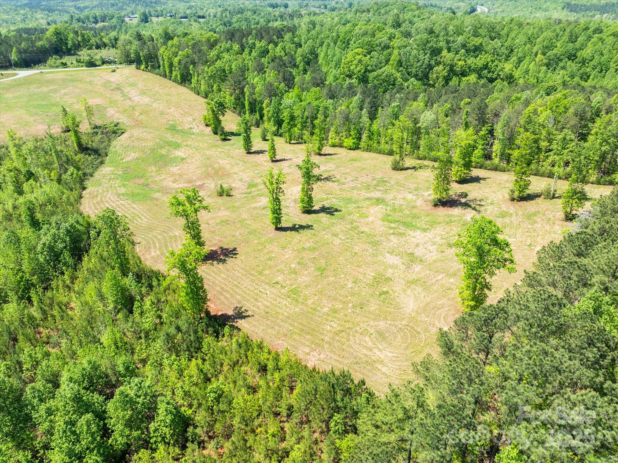 99999 Pea Ridge Road Mill Spring, NC 28756 - Photo 2 of 21 a view of swimming pool with a yard
