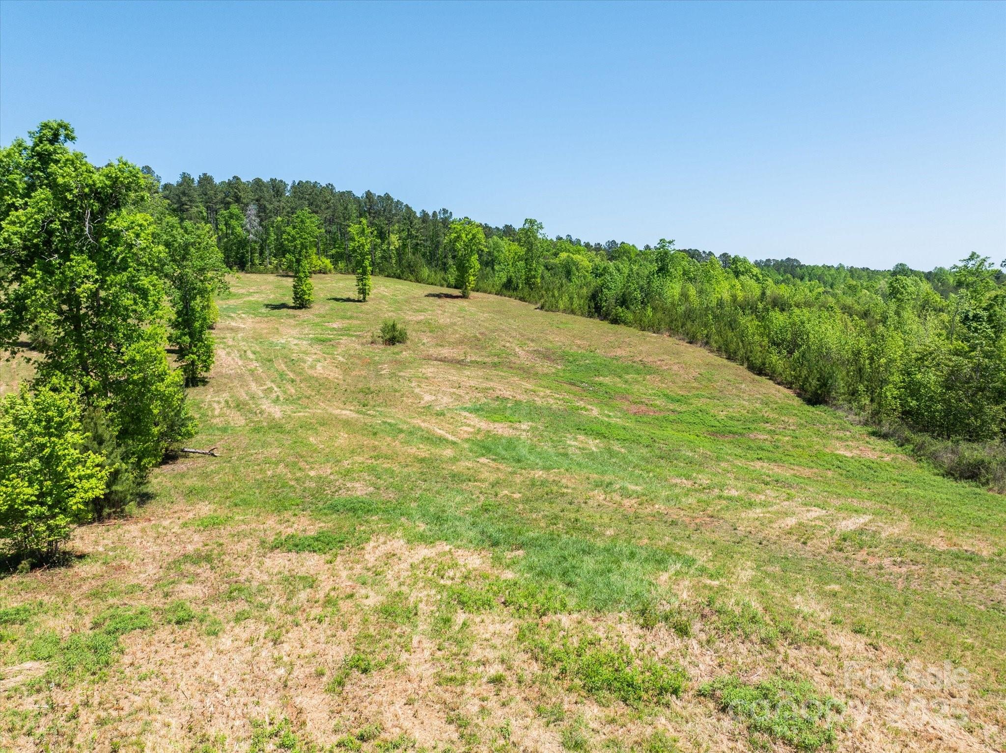 99999 Pea Ridge Road Mill Spring, NC 28756 - Photo 3 of 21 a view of grassy field with mountain in the background