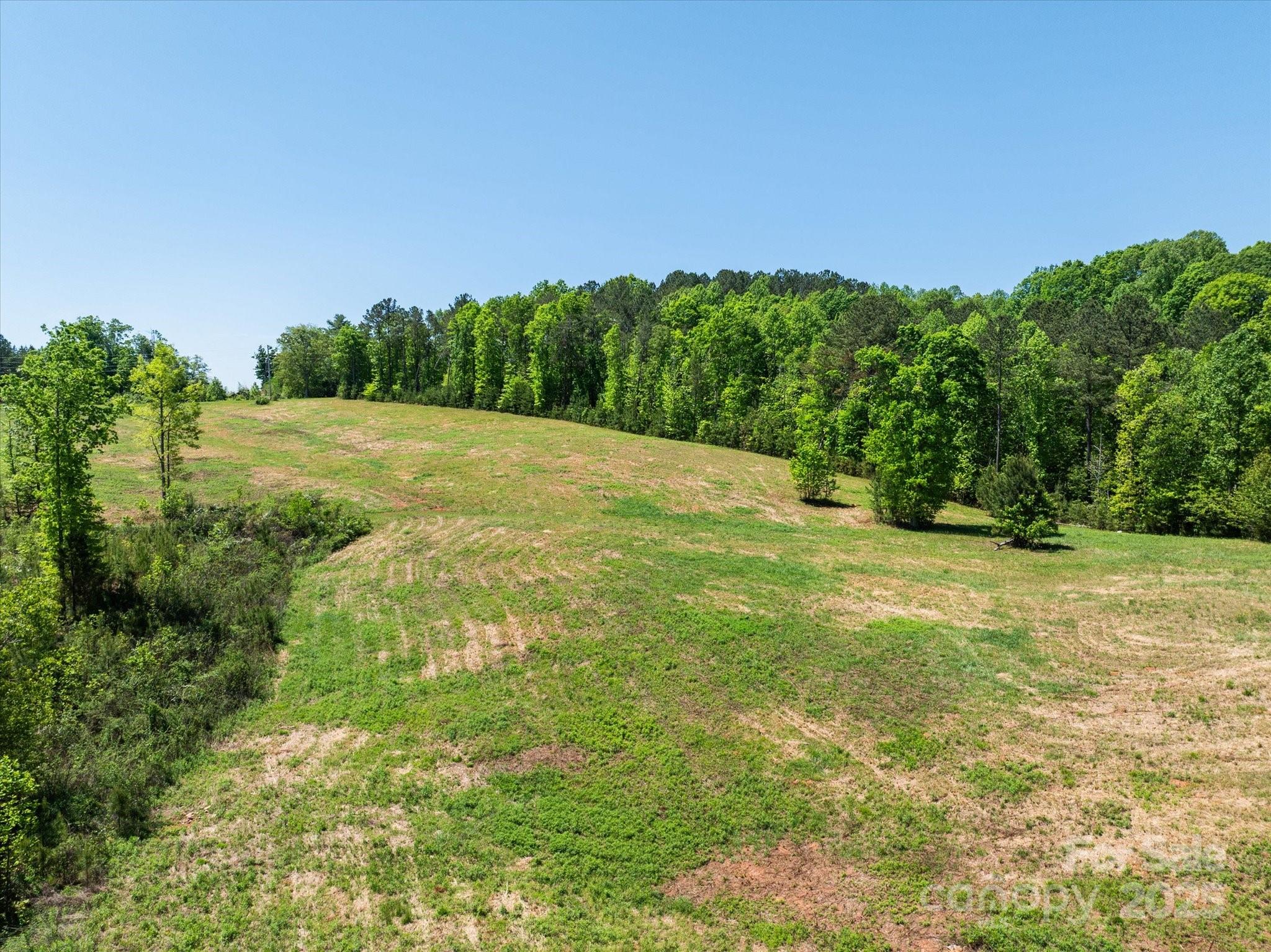 99999 Pea Ridge Road Mill Spring, NC 28756 - Photo 4 of 21 a big yard with lots of green space and plants