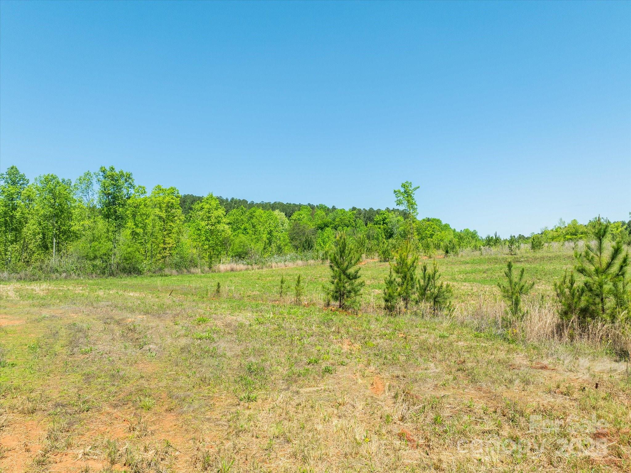 99999 Pea Ridge Road Mill Spring, NC 28756 - Photo 5 of 21 a backyard of a building with large trees