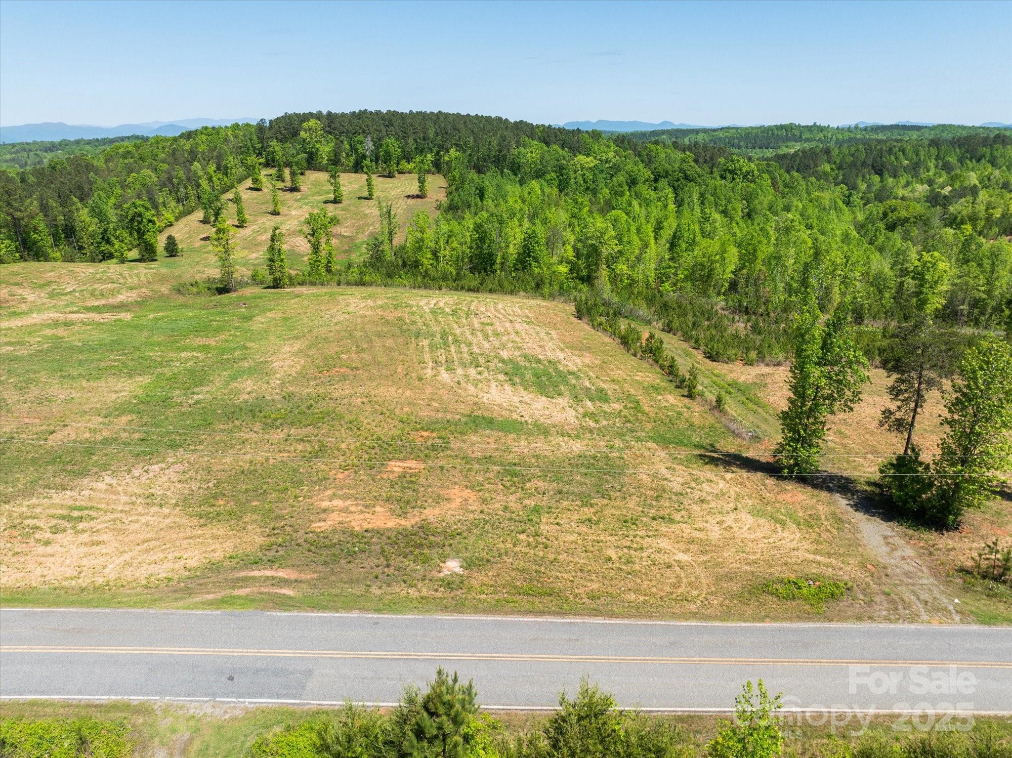 99999 Pea Ridge Road Mill Spring, NC 28756 - Photo 8 of 21 a view of yard with ocean view