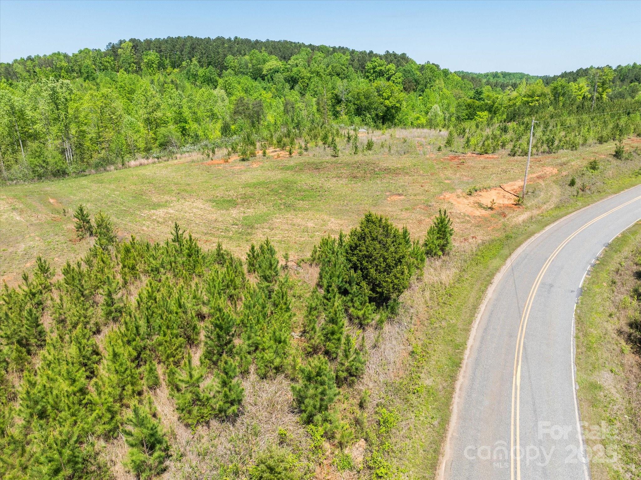 99999 Pea Ridge Road Mill Spring, NC 28756 - Photo 9 of 21 a view of a swimming pool with a yard and large trees