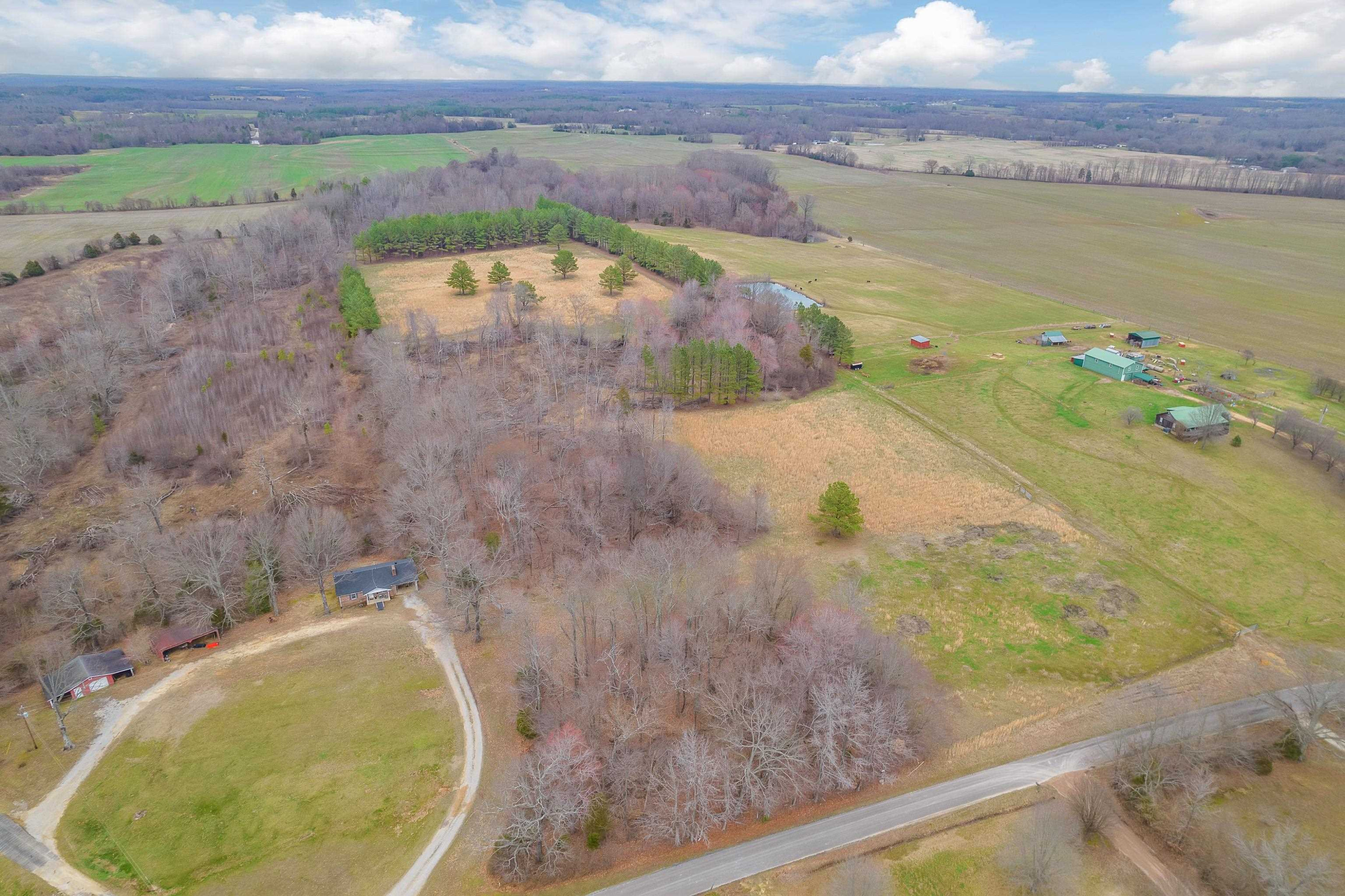 a view of a swimming pool with a yard and large trees