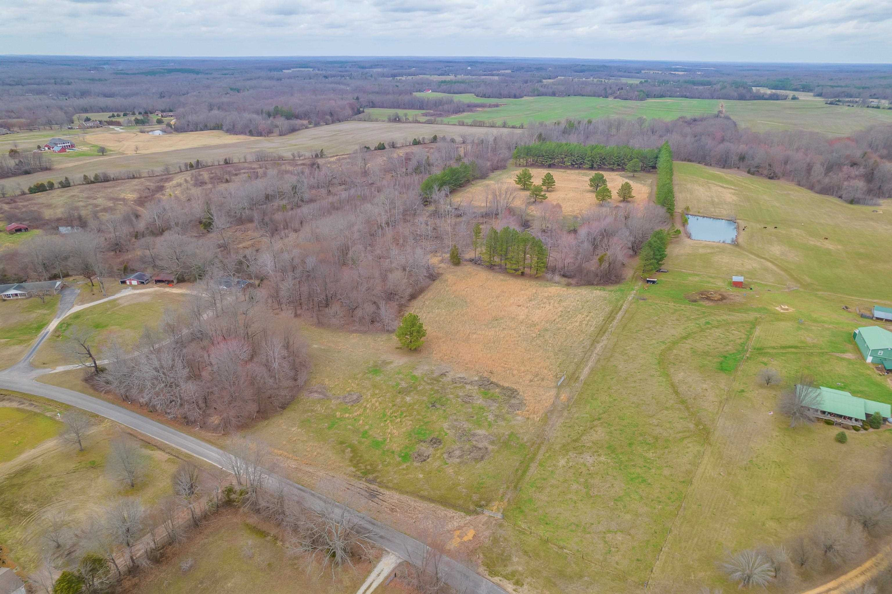 0 Smith Road Luray, TN 38352 - Photo 3 of 6