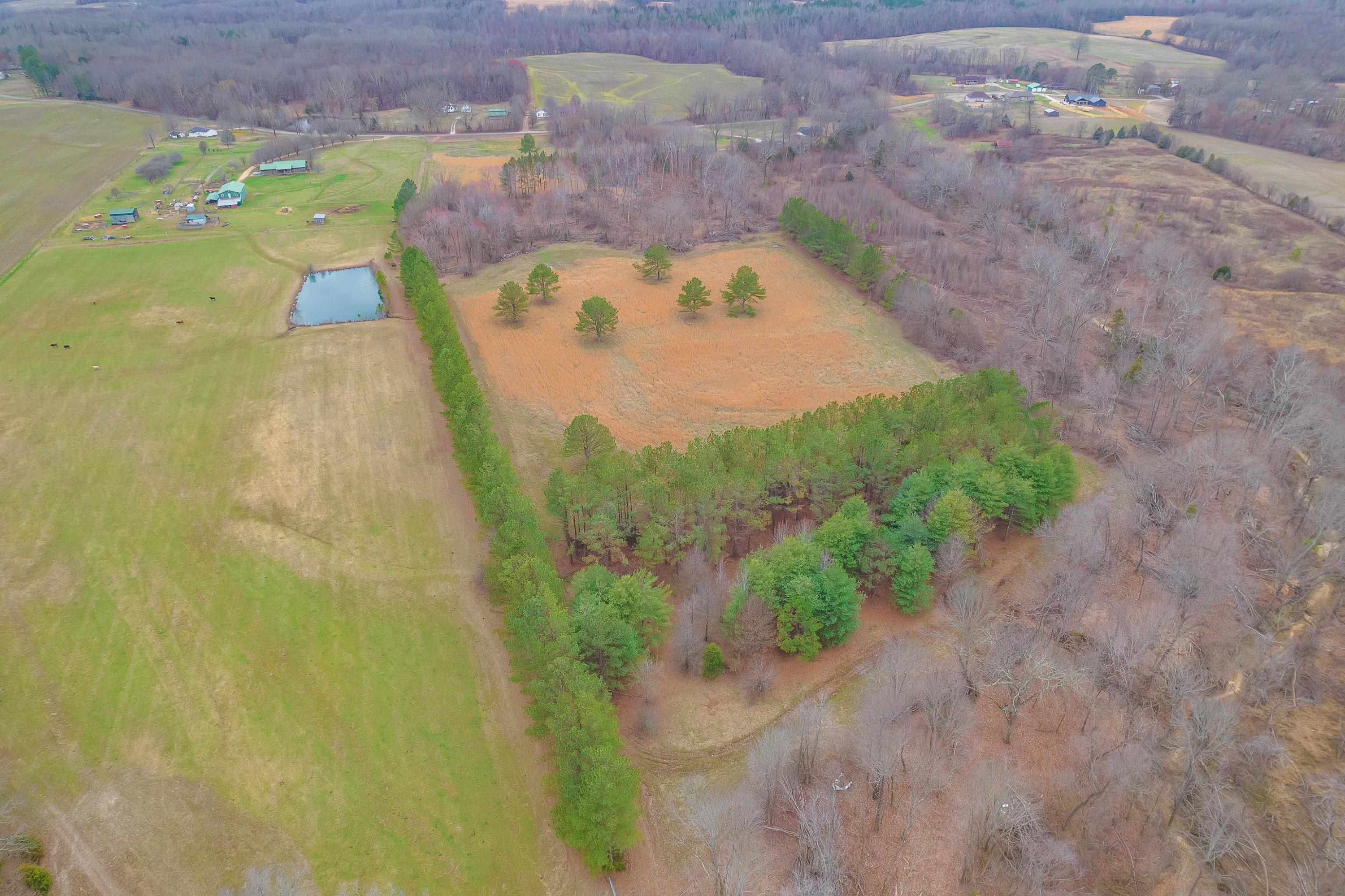 0 Smith Road Luray, TN 38352 - Photo 4 of 6