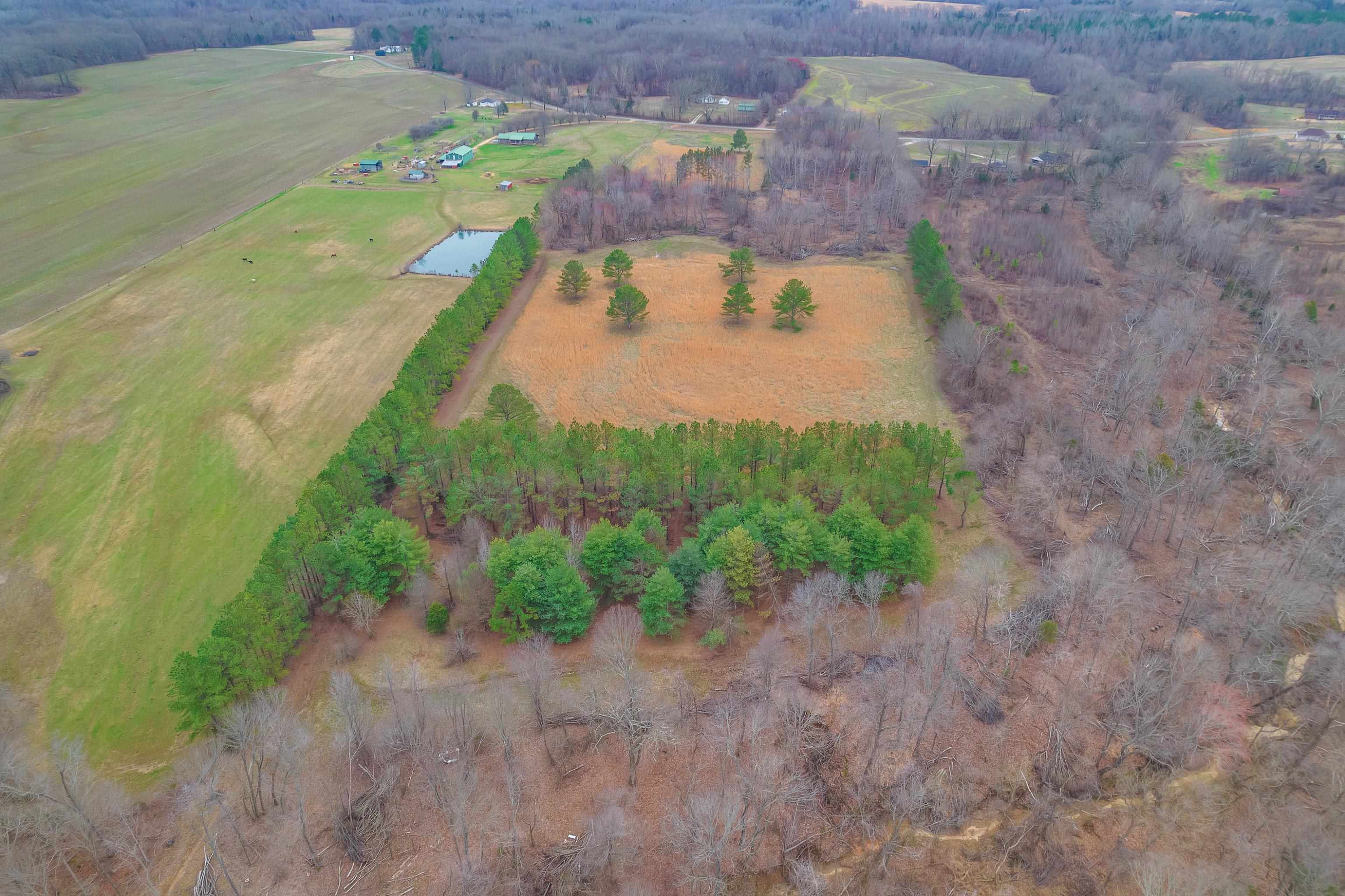 0 Smith Road Luray, TN 38352 - Photo 5 of 6 a view of a lake view