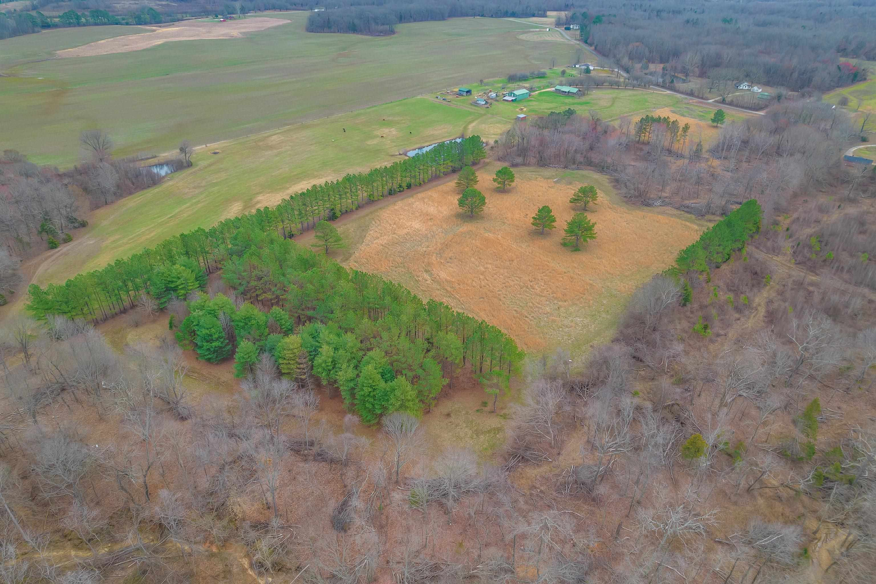 0 Smith Road Luray, TN 38352 - Photo 6 of 6 a view of a dry yard with wooden fence
