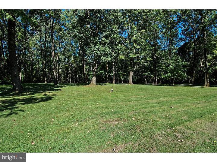 1156 A Swamp Road Furlong, PA 18925 - Photo 22 of 23 Gallery Image 22