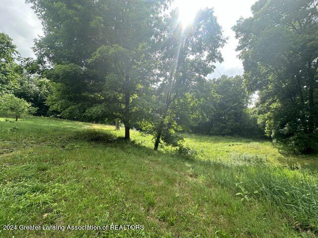 5982 East Bippley Road Sunfield, MI 48890 - Photo 32 of 32 IMG_2065
